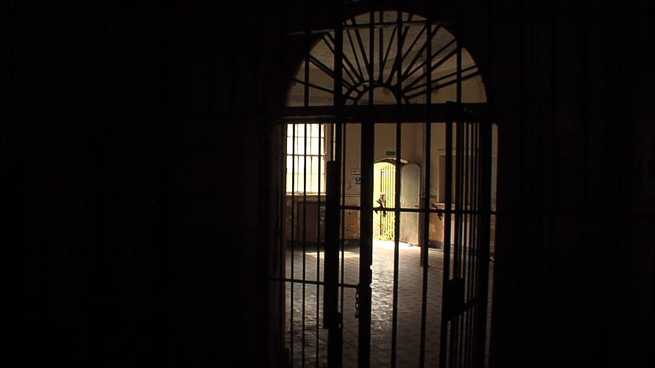 View through the gated doors.