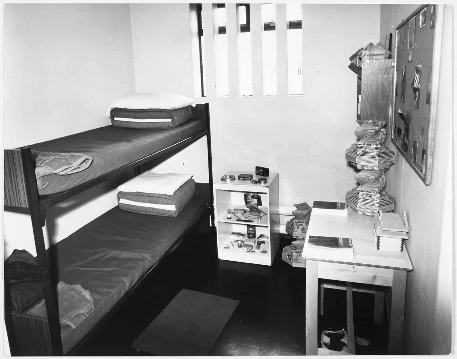 Cell accommodation, 1981.
